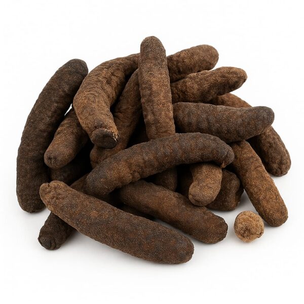 Dry Seacucumber