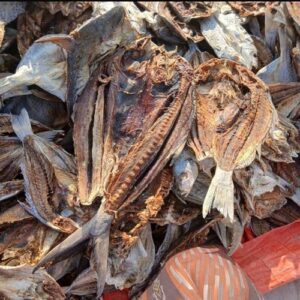 Sun Dry Fish