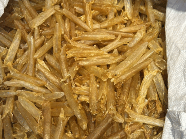 Nile perch Fish maw