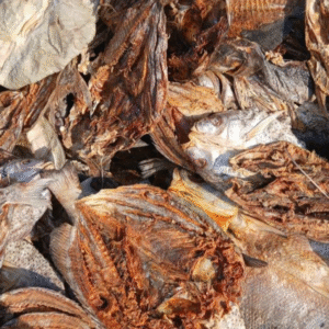Sun Dry Fish