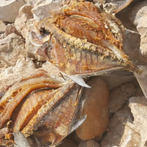 Dried Fish Sea