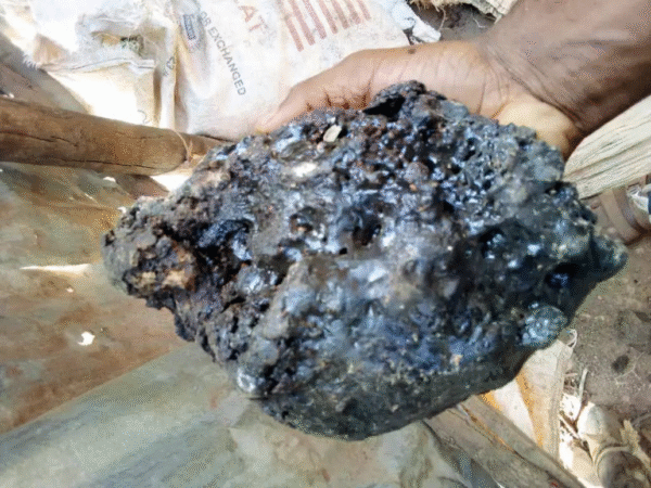 Black stone or shillajit stone