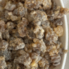 Frankincense carterii