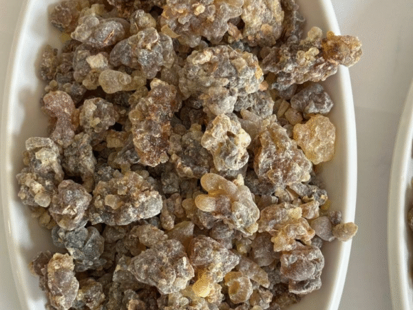 Frankincense carterii
