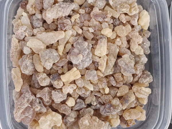 Frankincense carterii