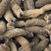 Dry Seacucumber