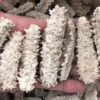 Dry Seacucumber